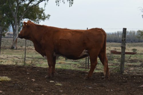 DSC 5103