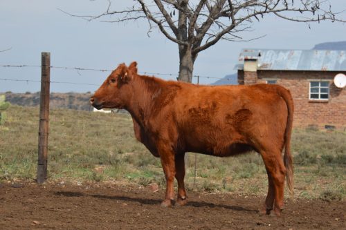 DSC 5164