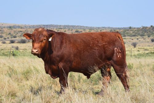 DSC 5220